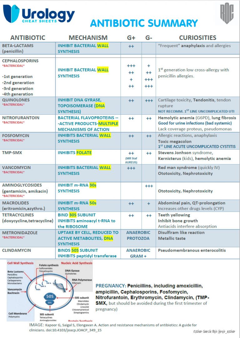 Antibiotics - Urology Cheatsheets