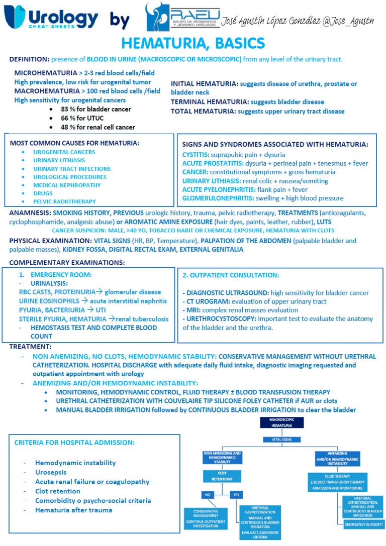Hematuria, basics By RAEU Urology Cheatsheets