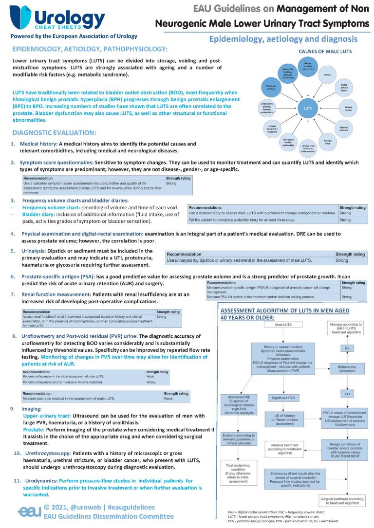 EAU Guidelines on Non-Neurogenic Male LUTS - Urology Cheatsheets