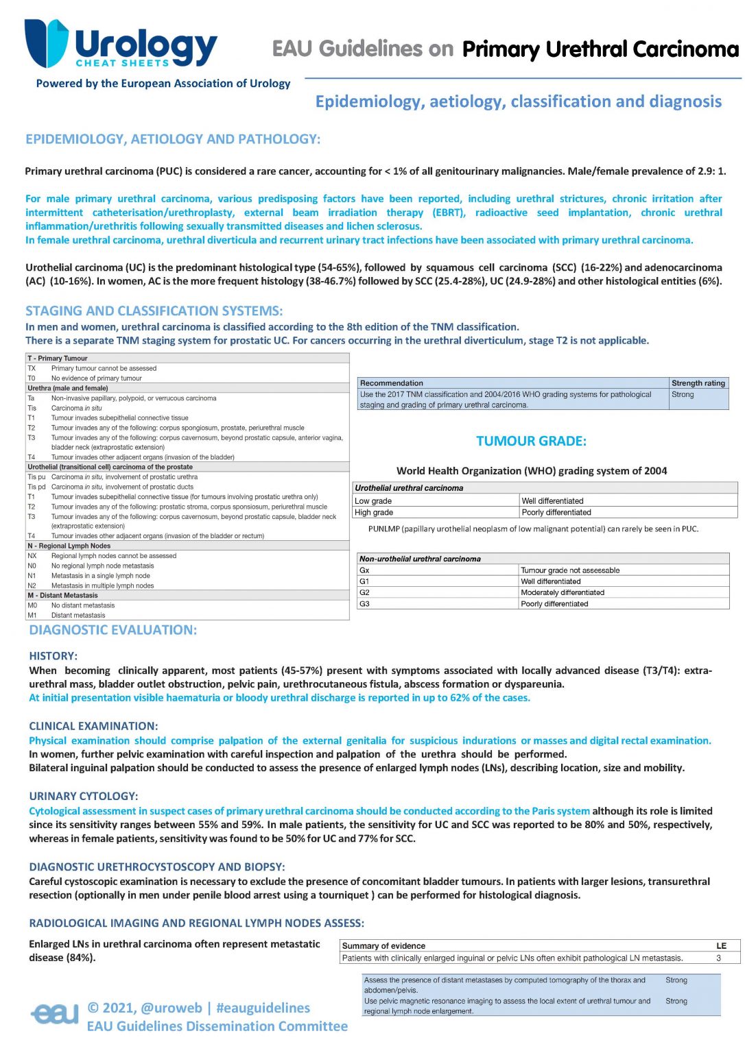 EAU Guidelines on Urethral Carcinoma - Urology Cheatsheets