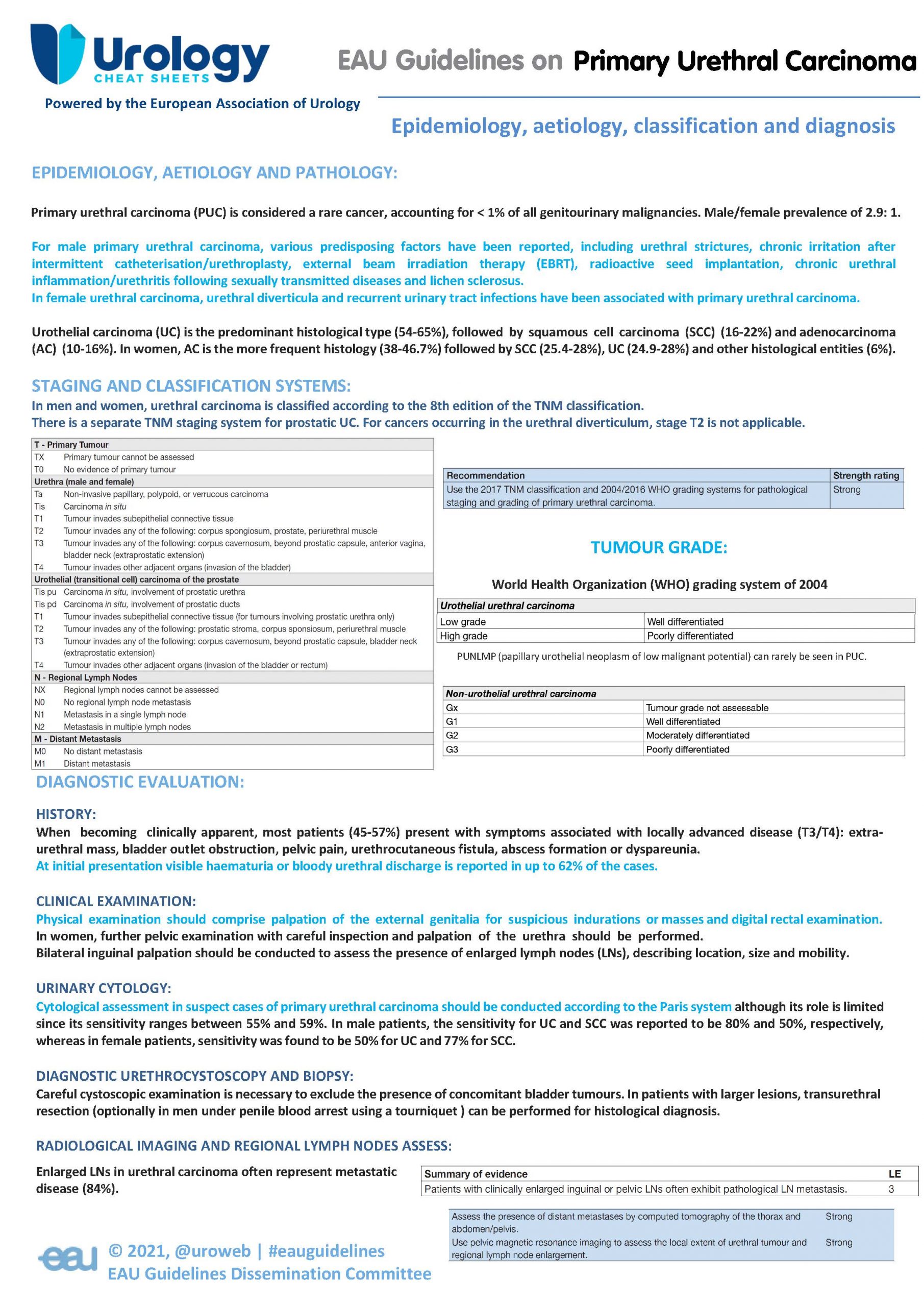EAU Guidelines on Urethral Carcinoma - Urology Cheatsheets