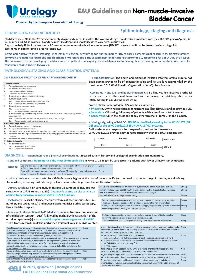 EAU Guidelines on Non-muscle-invasive Bladder Cancer - Urology Cheatsheets