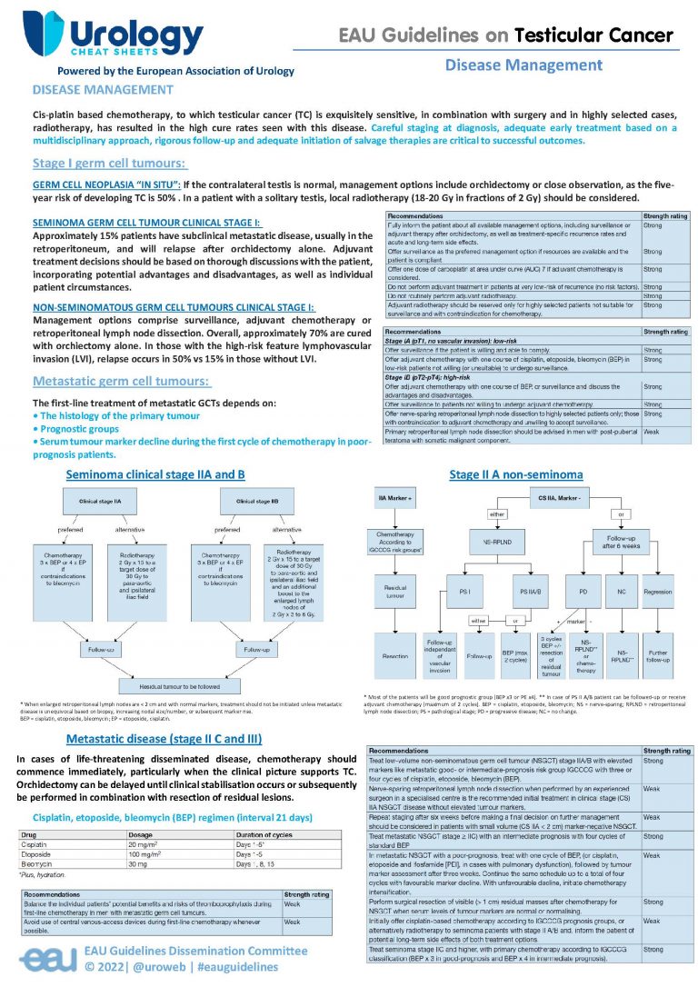 EAU Guidelines on Testicular Cancer - Urology Cheatsheets