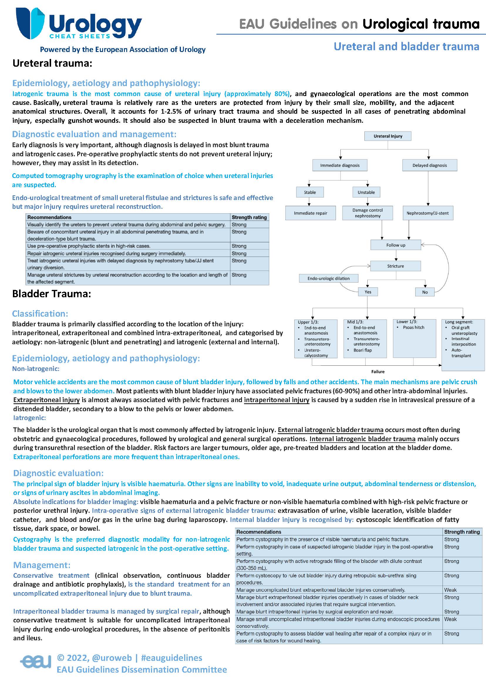 EAU Guidelines on Urological Trauma: Ureteral and bladder trauma ...